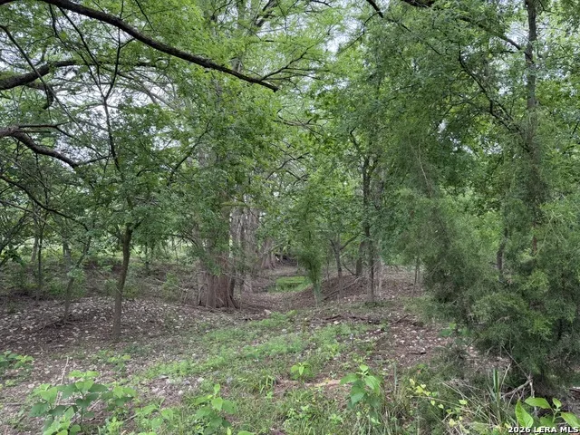 261 River Dr Rio Frio, TX 78879