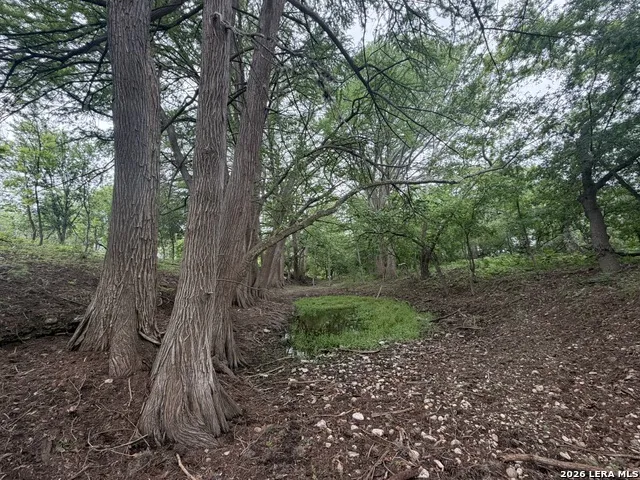 261 River Dr Rio Frio, TX 78879