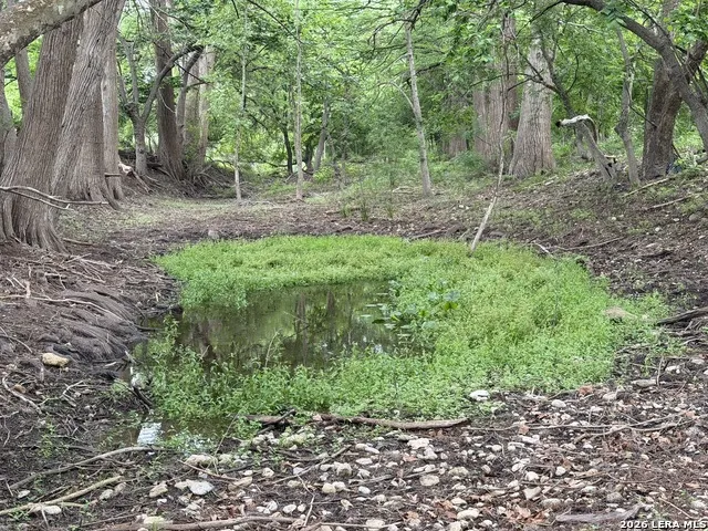 261 River Dr Rio Frio, TX 78879