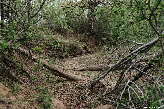 1065 fm 477 Seguin, TX 78155