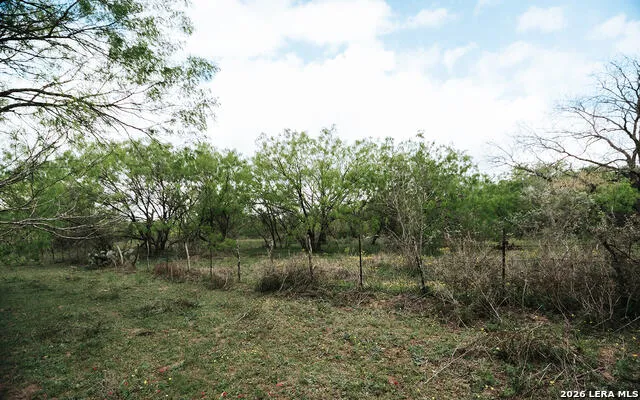 1065 fm 477 Seguin, TX 78155