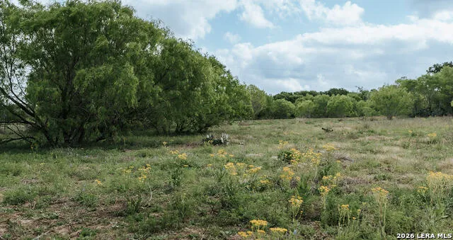 1065 fm 477 Seguin, TX 78155
