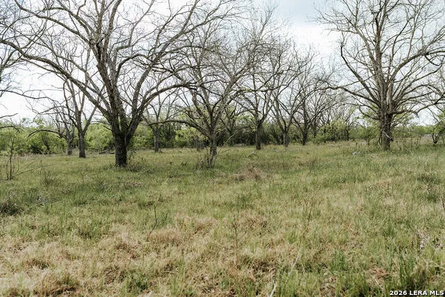 1065 fm 477 Seguin, TX 78155