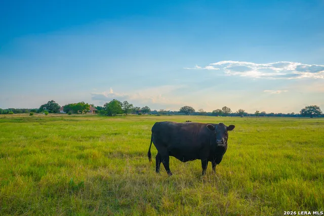 214 MARQUARDT RD Boerne, TX 78006