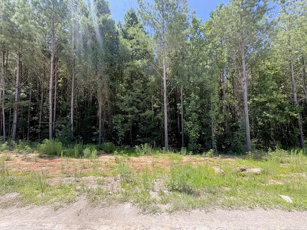 5199 Split Rail Way Guild, TN 37340