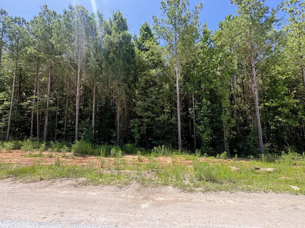 5199 Split Rail Way Guild, TN 37340