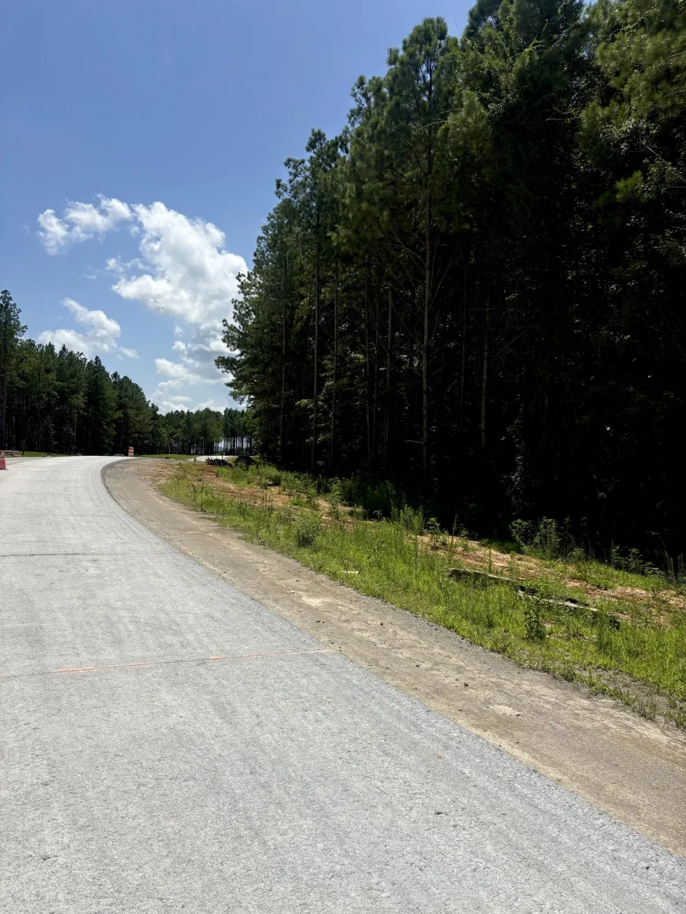 5199 Split Rail Way Guild, TN 37340