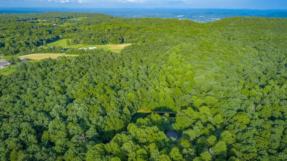 405 Plum Nelly Trail Rising Fawn, GA 30738