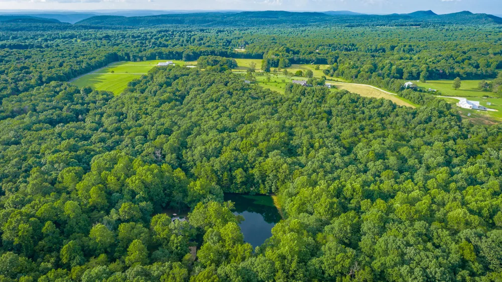 405 Plum Nelly Trail Rising Fawn, GA 30738