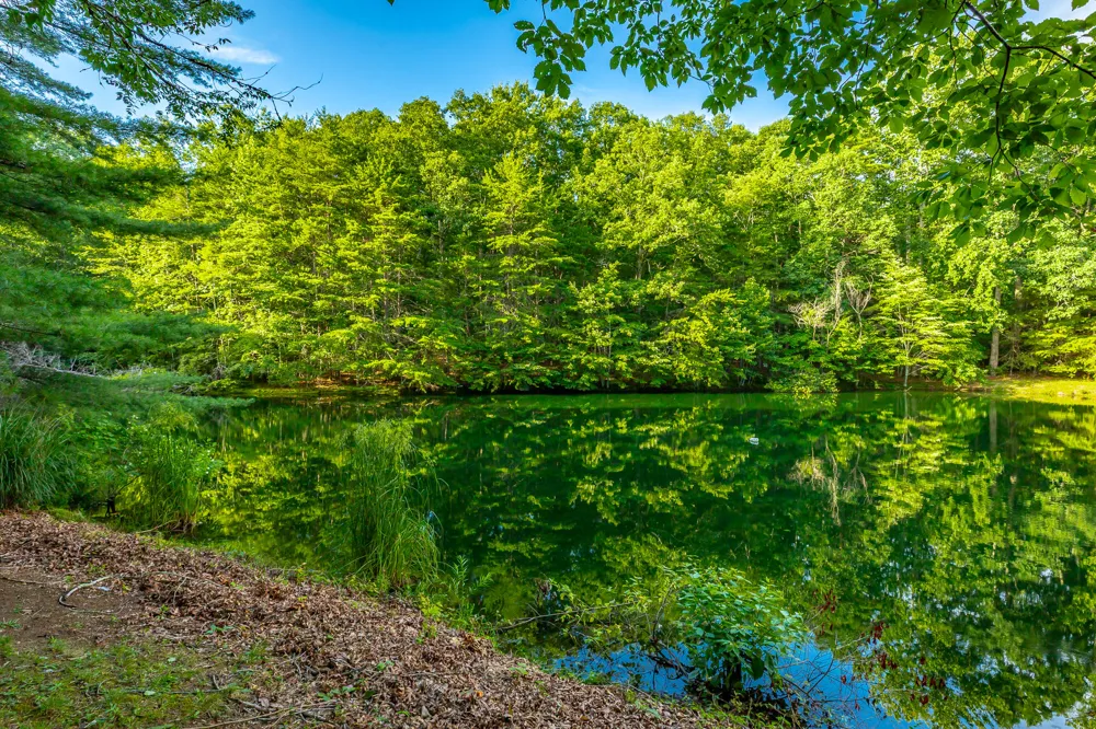 405 Plum Nelly Trail Rising Fawn, GA 30738