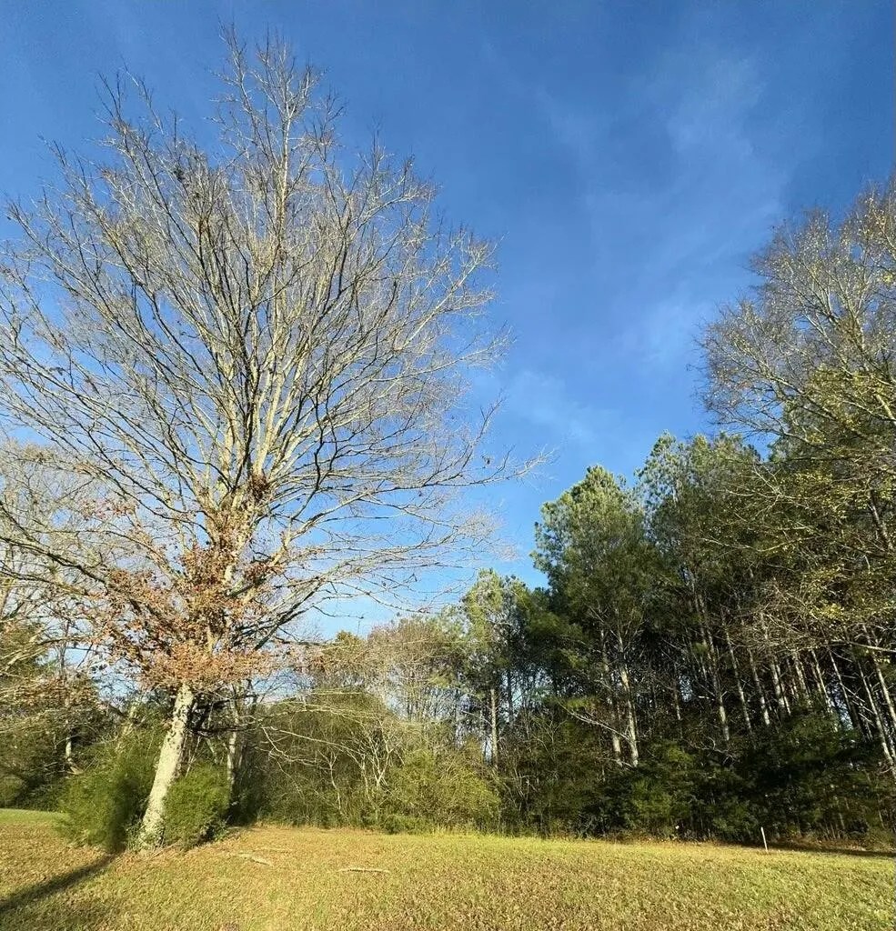 0 Georgetown Road NW Cleveland, TN 37312
