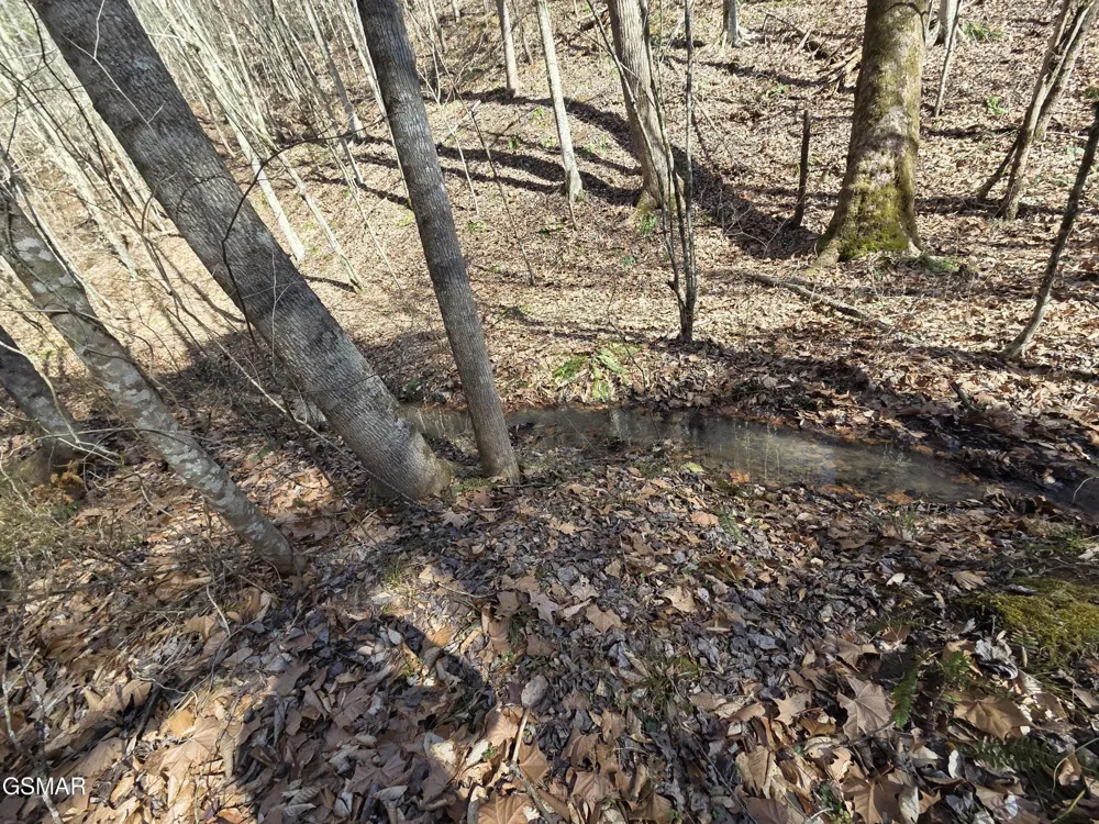 0 Baysinger Road Newport, TN 37821