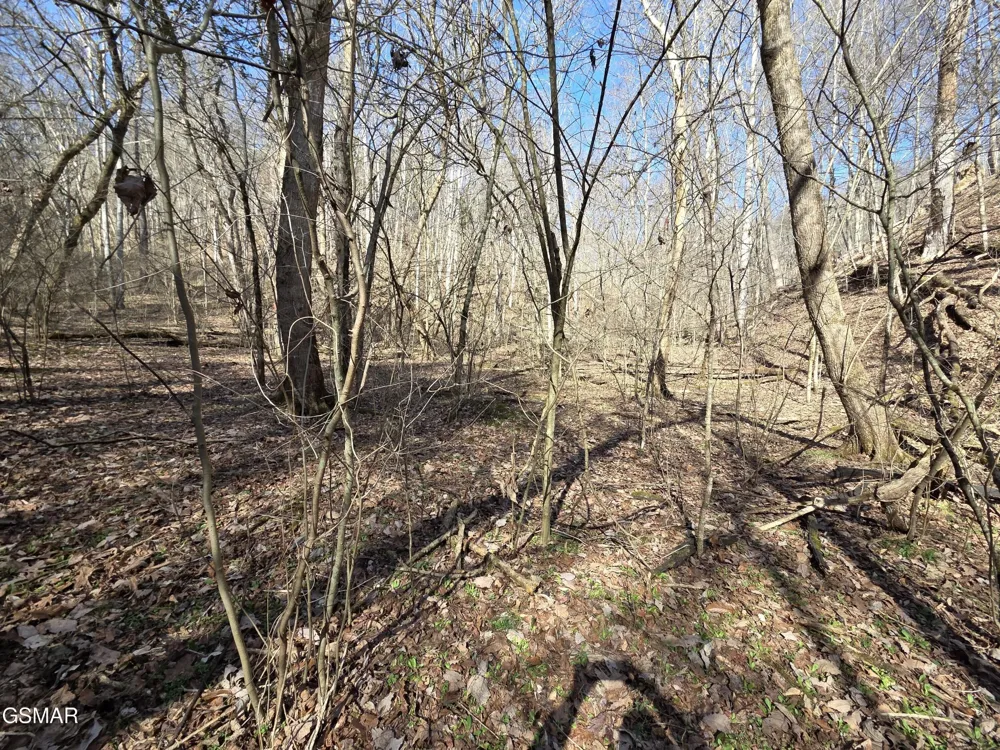 0 Baysinger Road Newport, TN 37821
