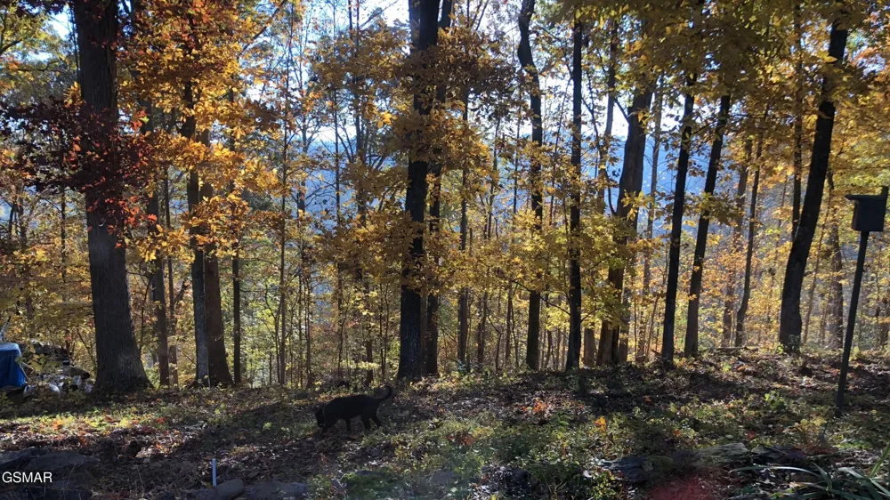 804 S Shiloh Road Seymour, TN 37865