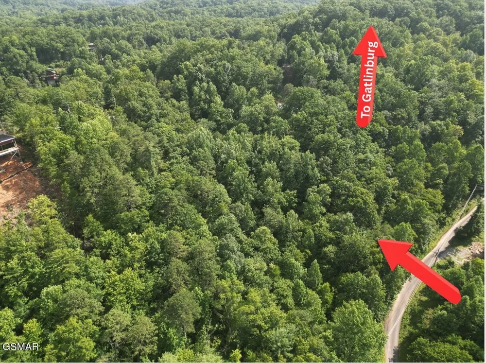 4321 Manis Hollow Road Gatlinburg, TN 37738