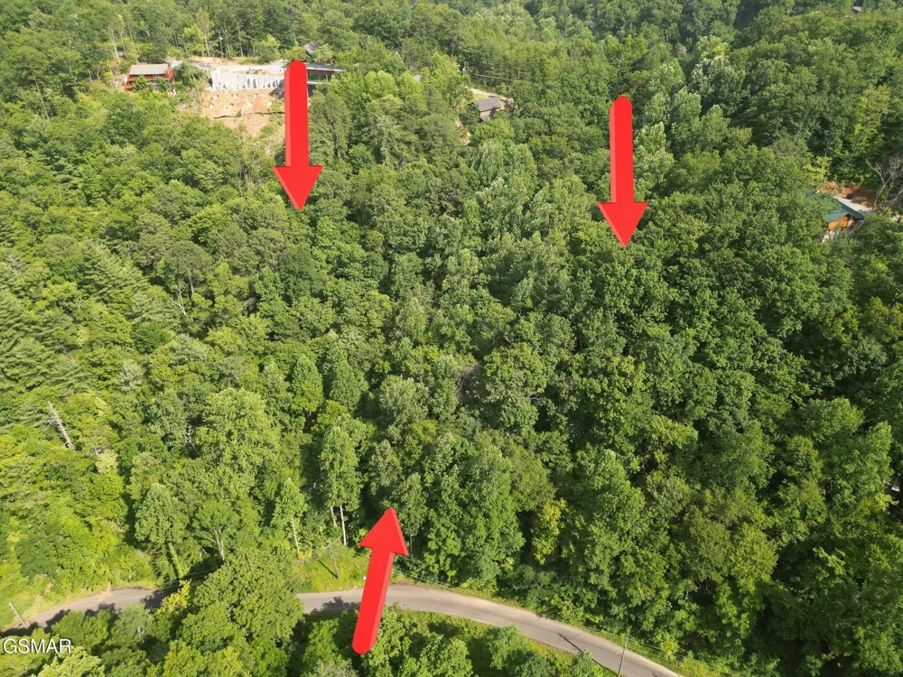 4321 Manis Hollow Road Gatlinburg, TN 37738