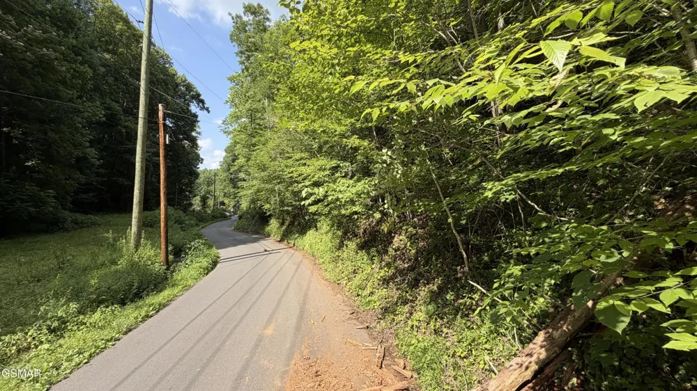 4321 Manis Hollow Road Gatlinburg, TN 37738
