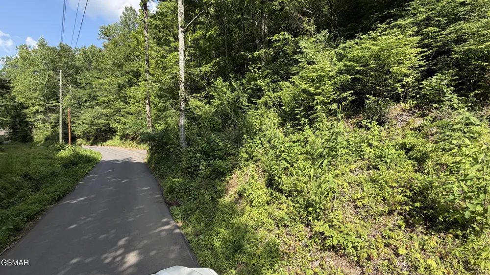4321 Manis Hollow Road Gatlinburg, TN 37738