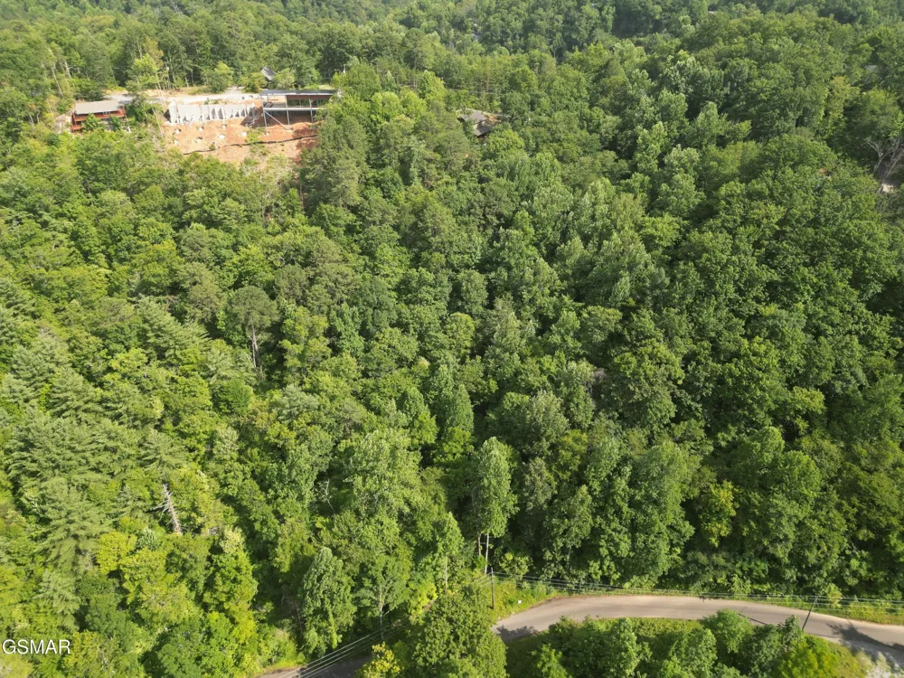 4321 Manis Hollow Road Gatlinburg, TN 37738