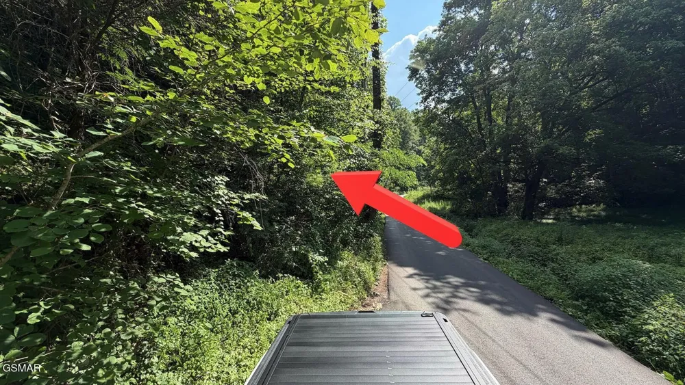 4321 Manis Hollow Road Gatlinburg, TN 37738
