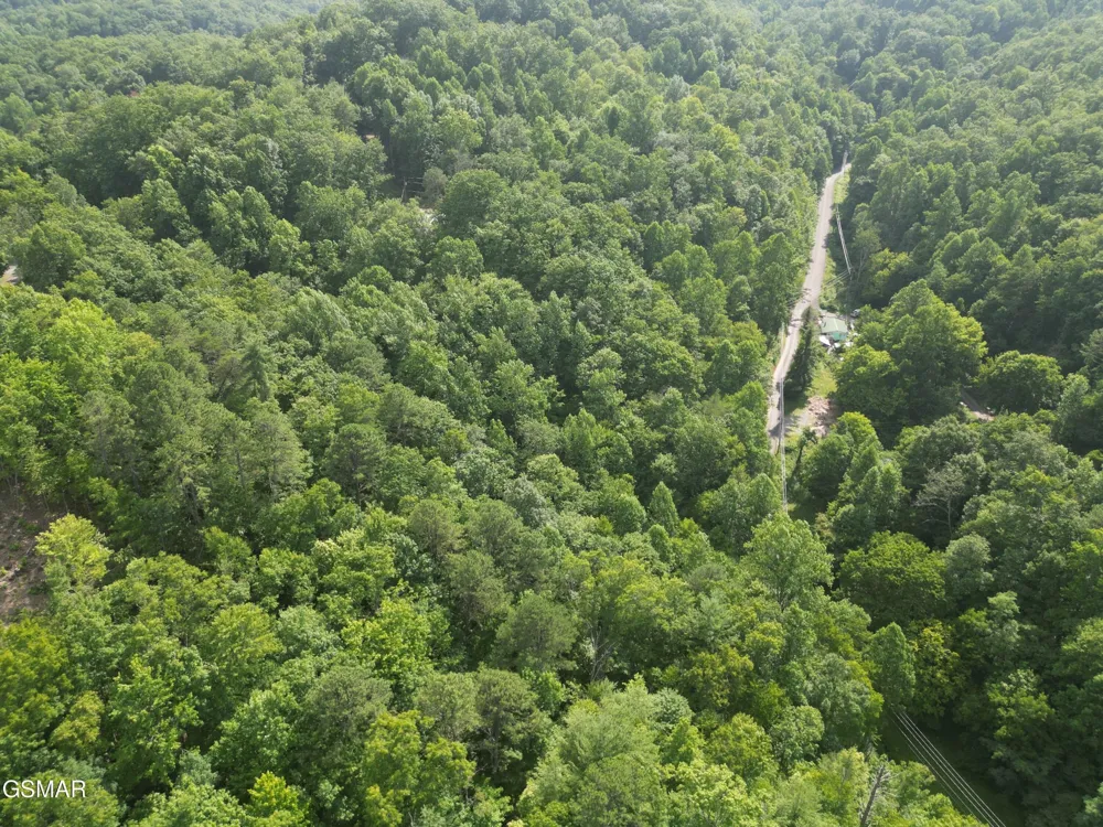 4321 Manis Hollow Road Gatlinburg, TN 37738
