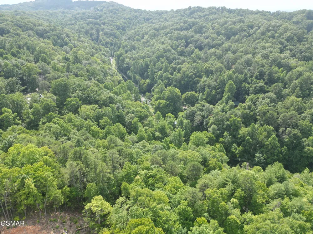 4321 Manis Hollow Road Gatlinburg, TN 37738