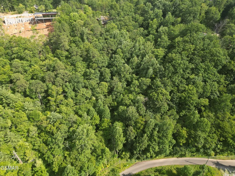 4321 Manis Hollow Road Gatlinburg, TN 37738