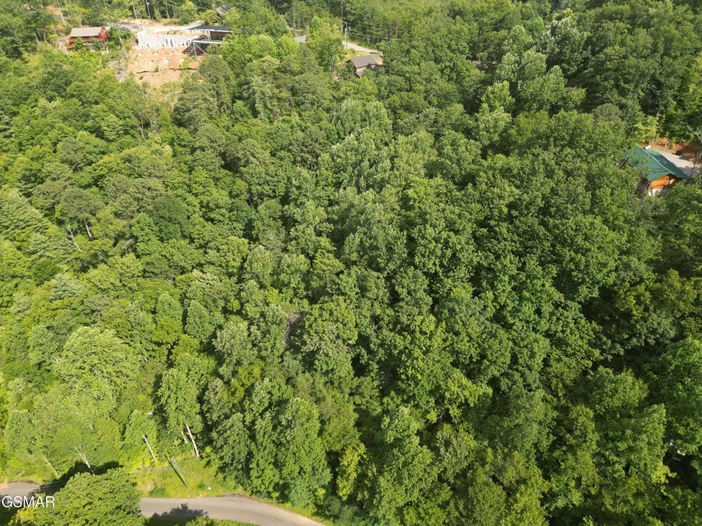 4321 Manis Hollow Road Gatlinburg, TN 37738
