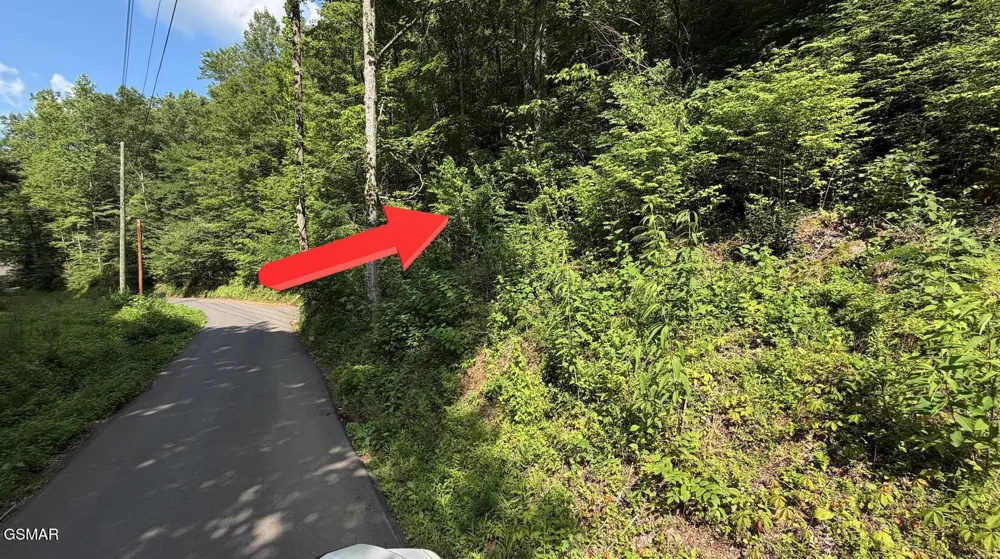 4321 Manis Hollow Road Gatlinburg, TN 37738