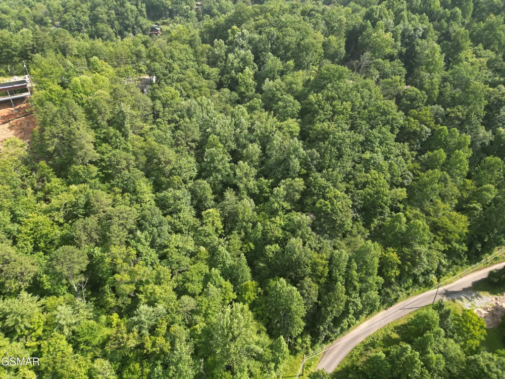 4321 Manis Hollow Road Gatlinburg, TN 37738