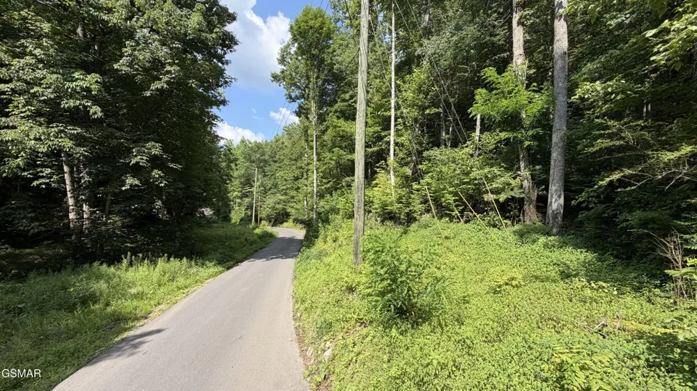 4321 Manis Hollow Road Gatlinburg, TN 37738