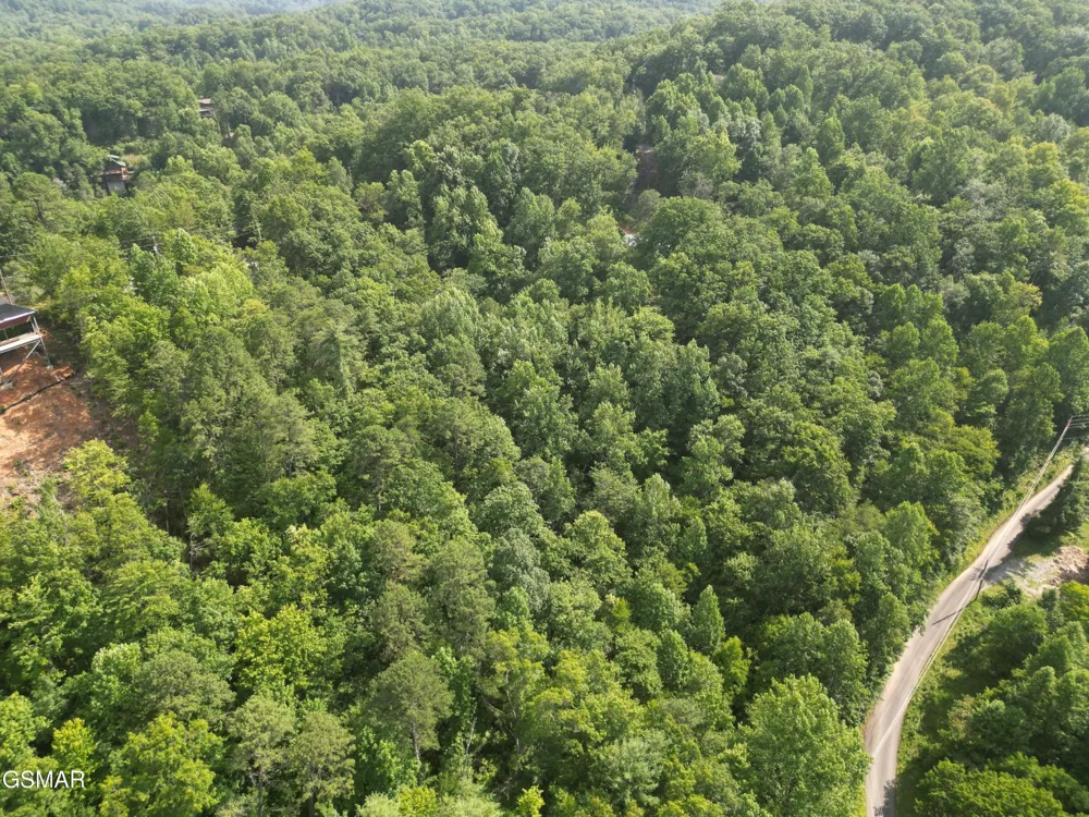 4321 Manis Hollow Road Gatlinburg, TN 37738