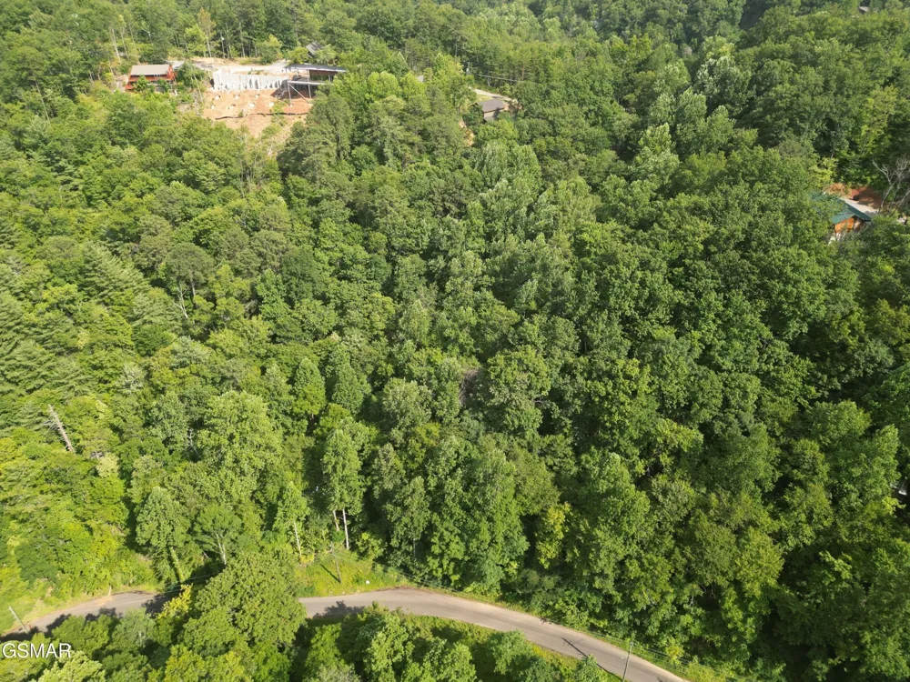 4321 Manis Hollow Road Gatlinburg, TN 37738