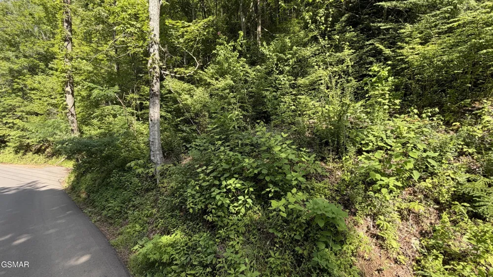 4321 Manis Hollow Road Gatlinburg, TN 37738