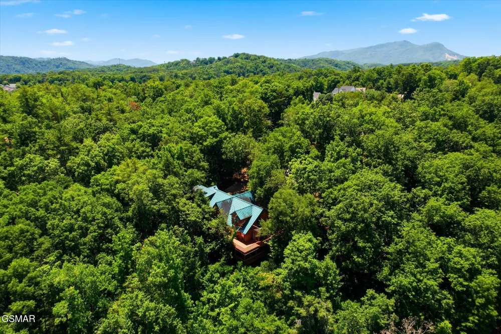 201 Clear Point Lane Pigeon Forge, TN 37863
