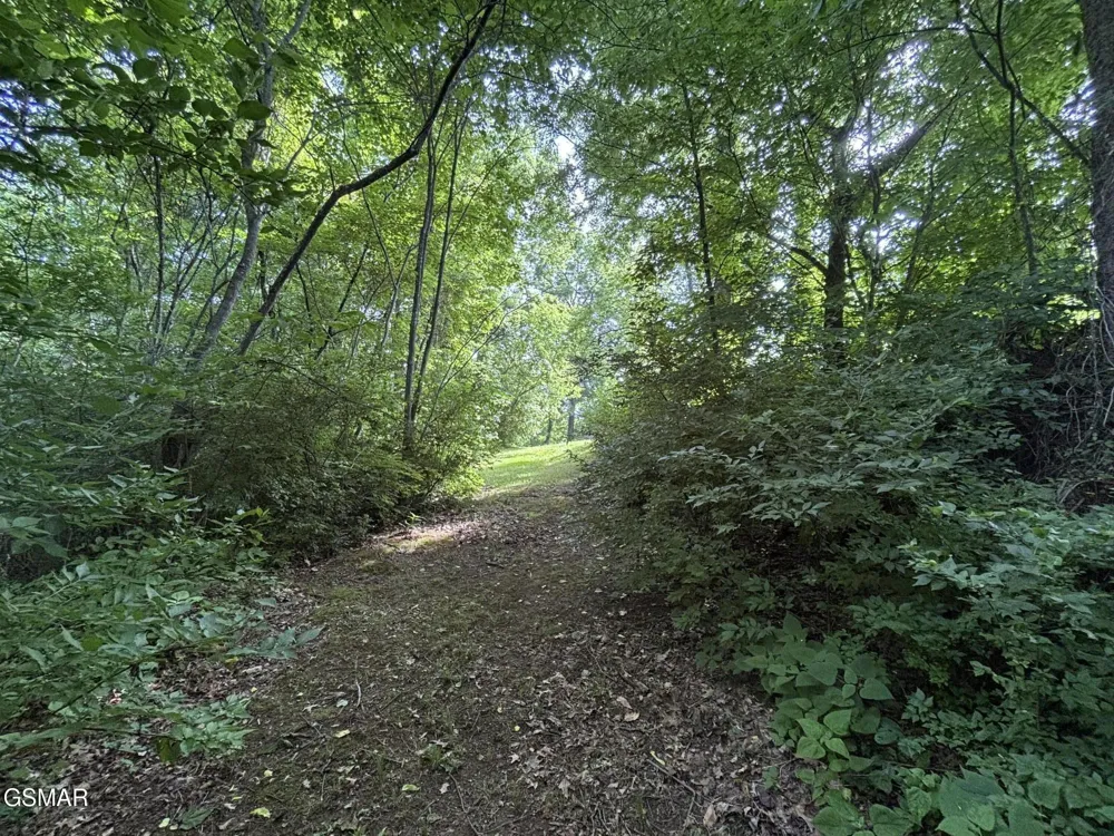 320 Cherry Hill Way Newport, TN 37821