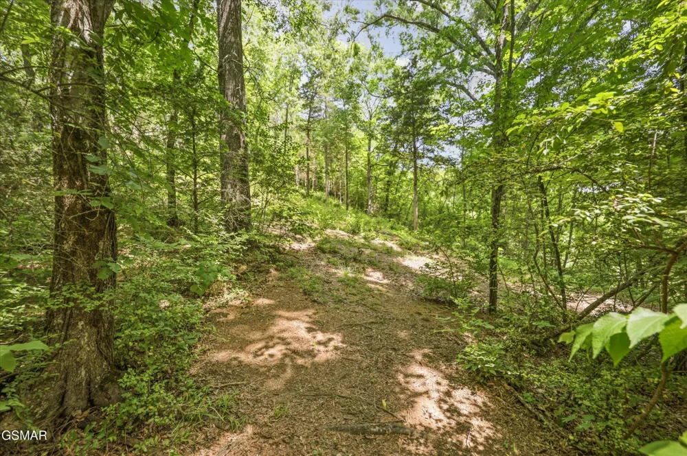 320 Cherry Hill Way Newport, TN 37821