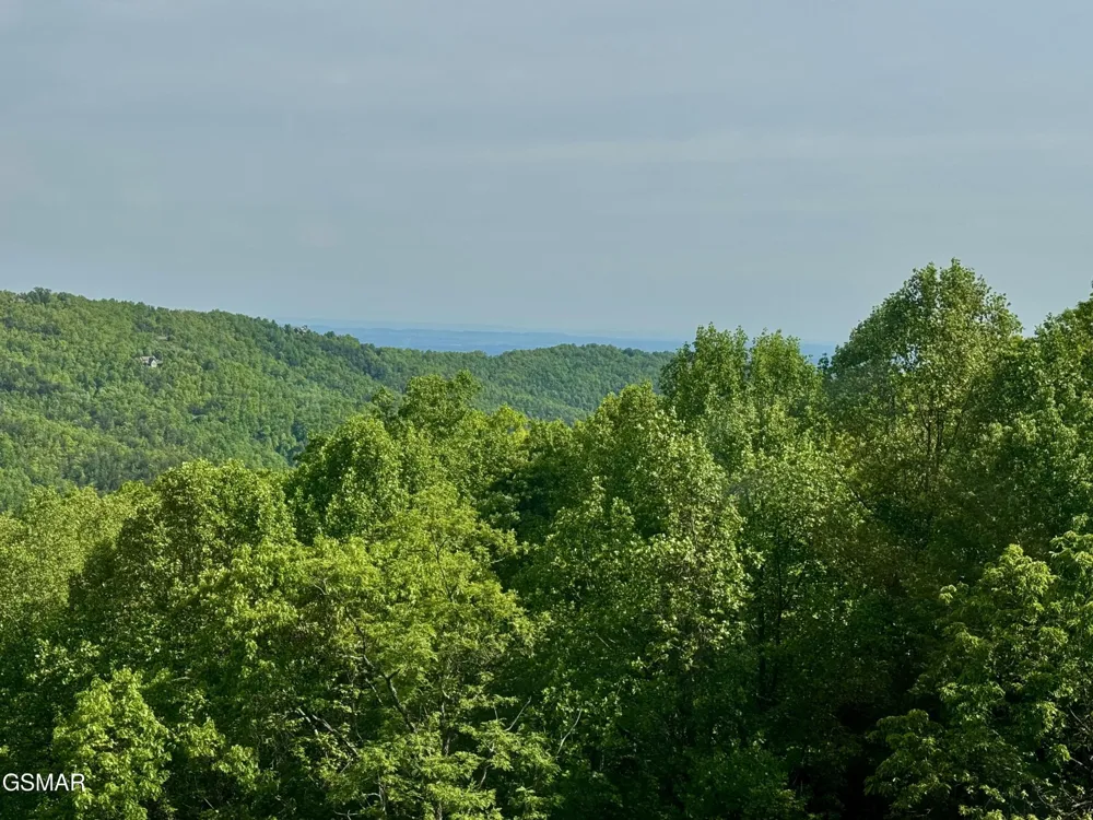 1102 Ski View Drive #306 Gatlinburg, TN 37738