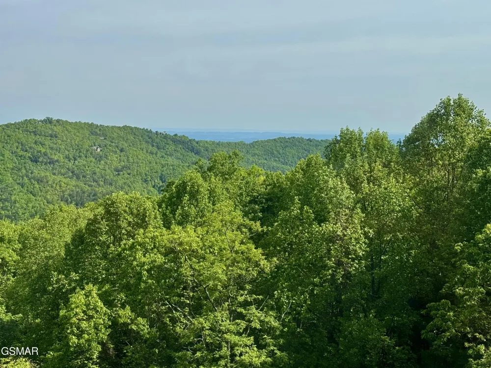 1102 Ski View Drive #306 Gatlinburg, TN 37738
