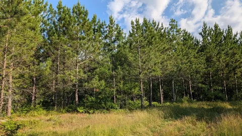 Lot C Hwy. 24