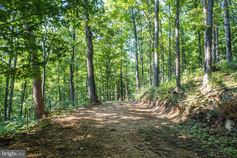 CHURCH MOUNTAIN LANE Broadway, VA 22815