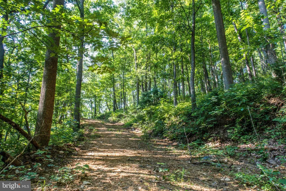 CHURCH MOUNTAIN LANE Broadway, VA 22815