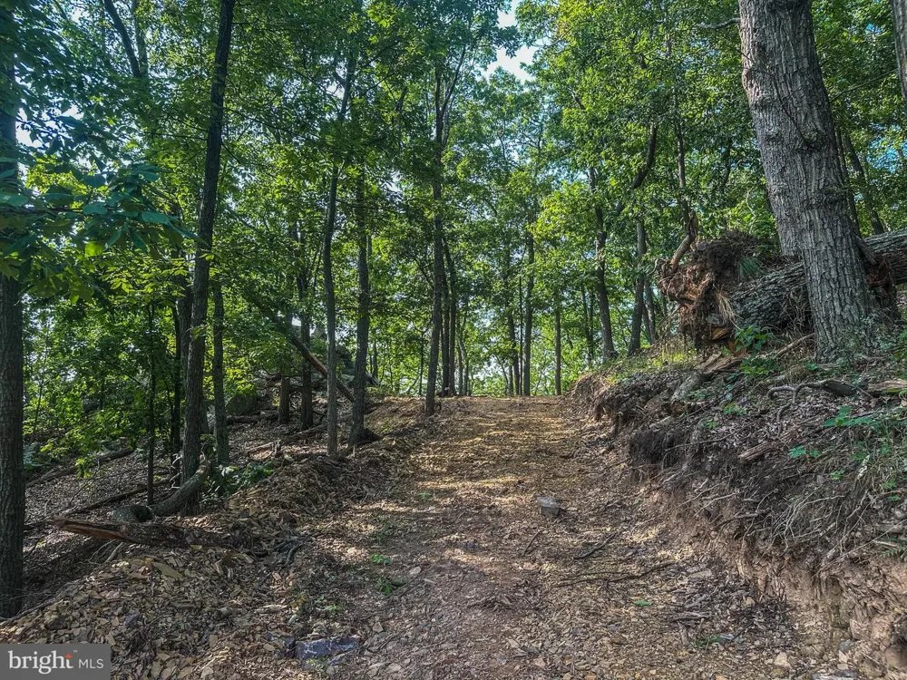 CHURCH MOUNTAIN LANE Broadway, VA 22815