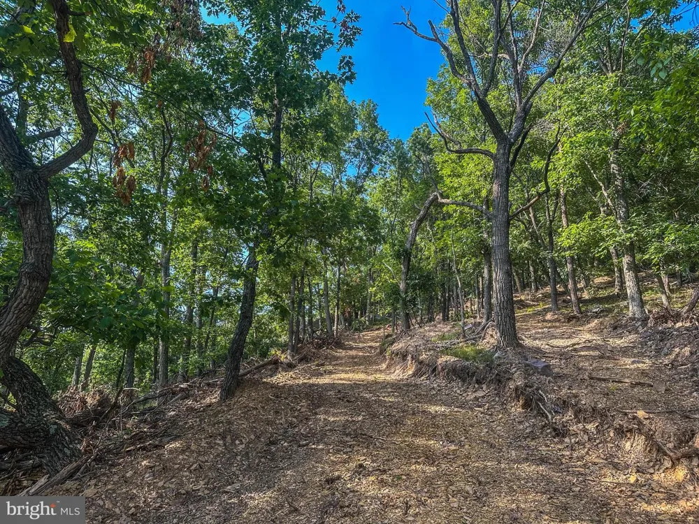 CHURCH MOUNTAIN LANE Broadway, VA 22815
