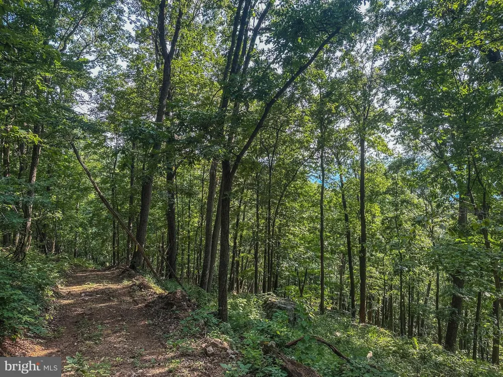 CHURCH MOUNTAIN LANE Broadway, VA 22815