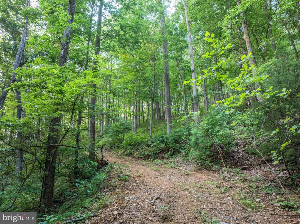 CHURCH MOUNTAIN LANE Broadway, VA 22815