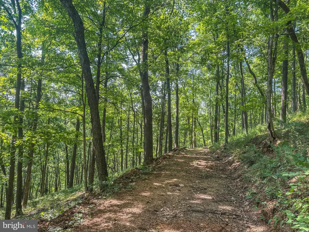 CHURCH MOUNTAIN LANE Broadway, VA 22815