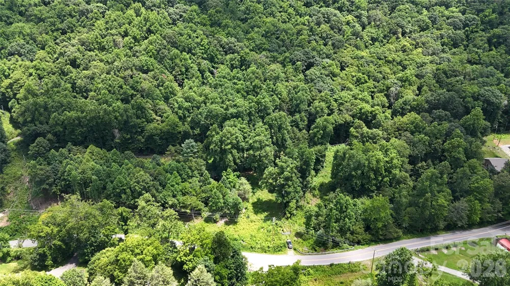 TBD Paint Fork Road Barnardsville, NC 28709