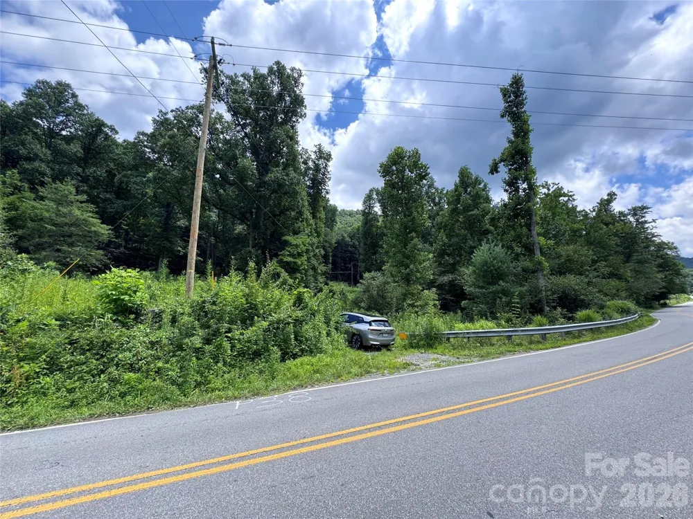 TBD Paint Fork Road Barnardsville, NC 28709