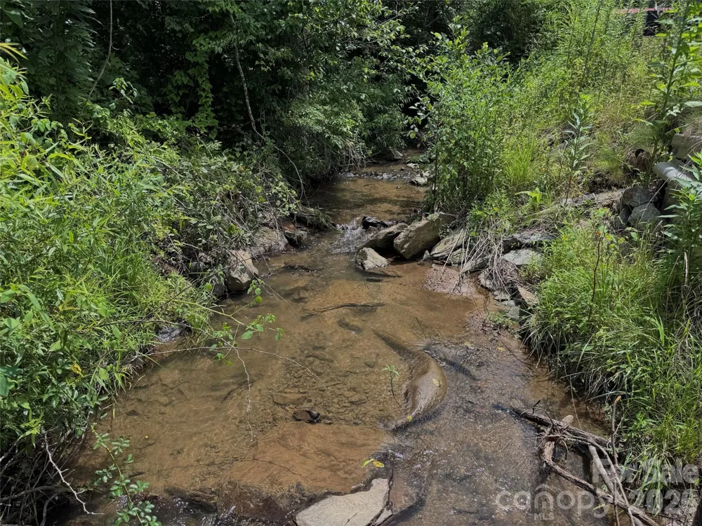 TBD Paint Fork Road Barnardsville, NC 28709